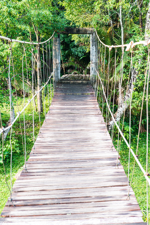 Rope bridge in national park, Thailandの写真素材