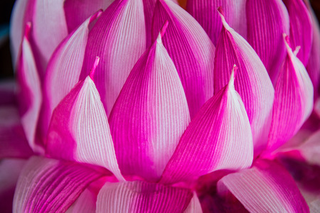 Paper art for Buddhism worship in Rains-Retreat, Thailandの写真素材