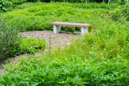 Modern wooden bench in the garden, Thailandの写真素材