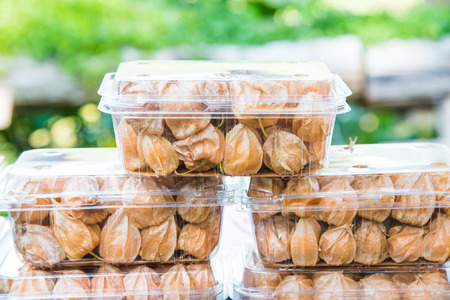 Fresh cape gooseberry in plastic box, Thailand.の写真素材