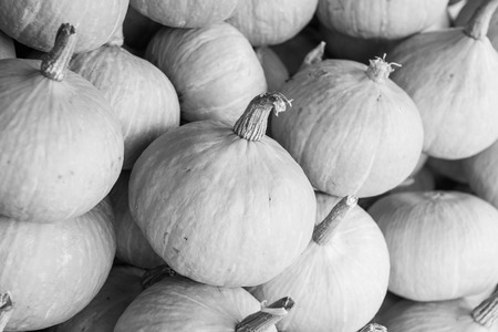 Fresh pumpkins on sale stand, Thailand.の写真素材