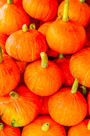 Fresh pumpkins on sale stand, Thailand.の写真素材