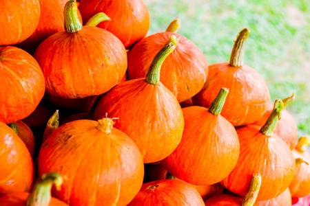 Fresh pumpkins on sale stand, Thailand.の写真素材