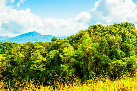Natural view at Chiangmai province, Thailand.