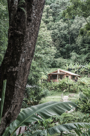 Forest and holiday homes in country, Thailand.のeditorial素材