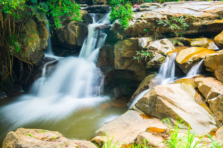 Water Flowing in Thai Forest, Thailand.の写真素材