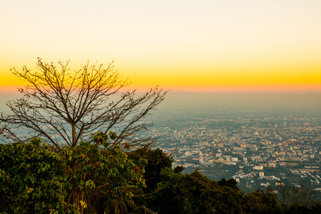 Tree Silhouette with Sunset Time at Chiangmai Province, Thailand.の写真素材