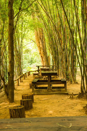 Wooden table set in Ob Luang national park, Thailand.の写真素材