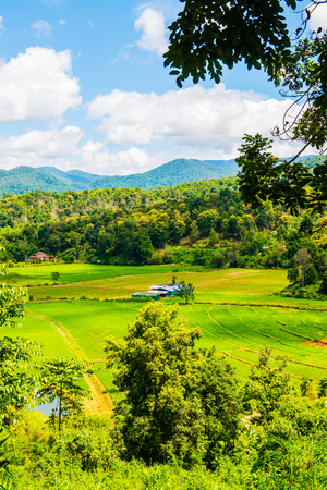 Agricultural view at Chiangmai province, Thailand,の写真素材