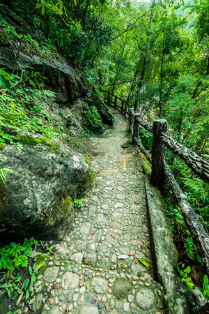 Walkway in Ob Luang national park, Thailand.の写真素材