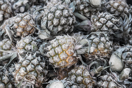 Pineapple background, Thailandの写真素材