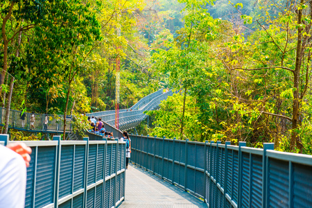 Canopy Walkway of Queen Sirikit Botanic Garden, Thailandの写真素材