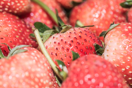 Red strawberries in bowl, Thailandの写真素材