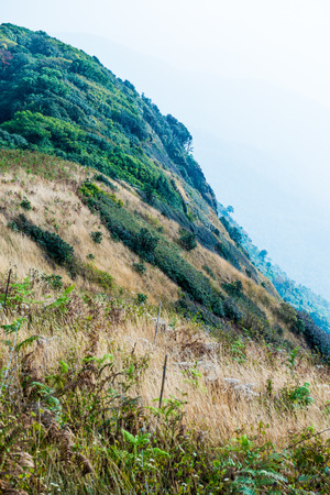 Kew Mae Pan view in Doi Inthanon Natural Park, Thailandの写真素材