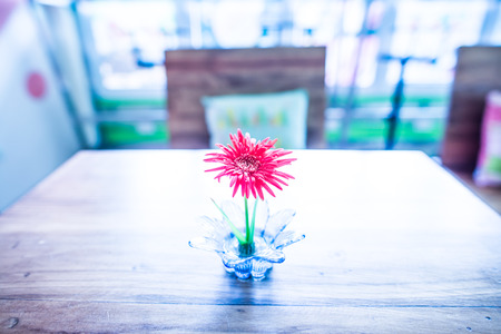 Little Gerbera flower on wooden table, Thailandの写真素材
