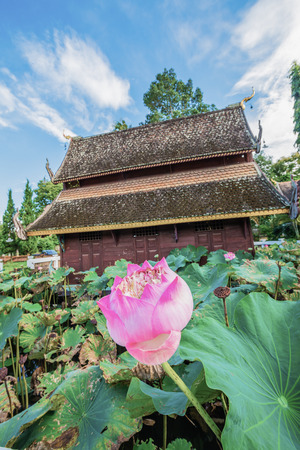 Pink Lotus with Ancient Thai Church in Water Pond, Thailand.の写真素材