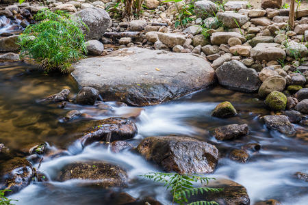 Small stream in Thai country, Thailand