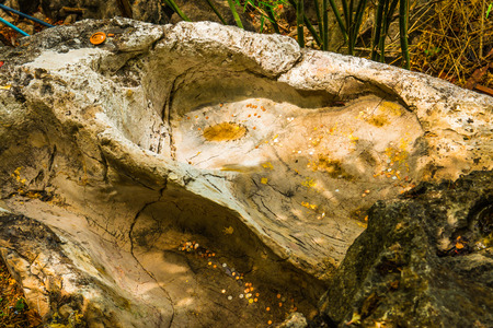 Buddha footprint at Lampang province, Thailand