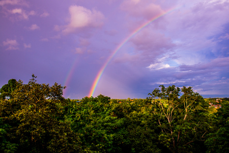 Rainbow on treetop, Thailand.の写真素材