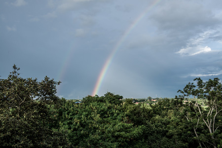 Rainbow on treetop, Thailand.の写真素材