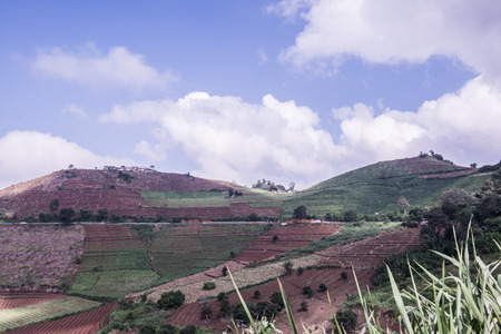 Natural view in Thai, Thailand.の写真素材