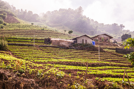 Natural view in Thai, Thailand.., Thailand.の写真素材