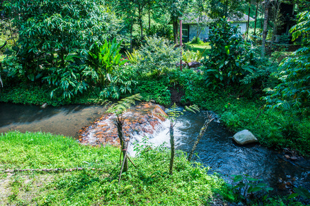 Park with small canal, Thailand.の写真素材