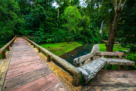 Landscape view of Phu Sang national park, Thailand.の写真素材