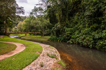 Landscape view of Phu Sang national park, Thailand.の写真素材