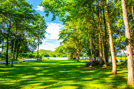 Landscape View of Mae Puem National Park, Thailand.の写真素材
