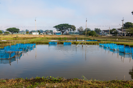 Fish cages in farm, Thailand.の写真素材