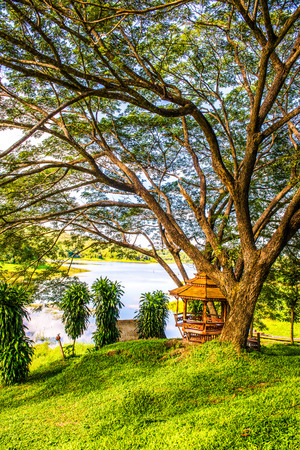 Landscape View of Mae Puem National Park, Thailand.の写真素材