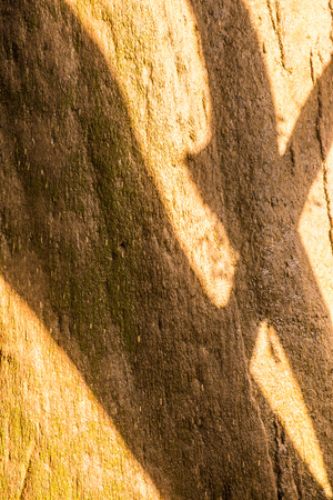 Water flowing with tree shadow on stone, Thailand.の写真素材