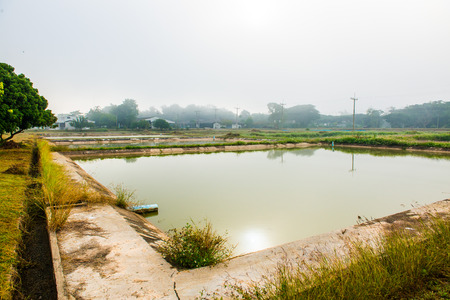 Fish pond with mist in winter season at Phayao province, Thailand.の写真素材