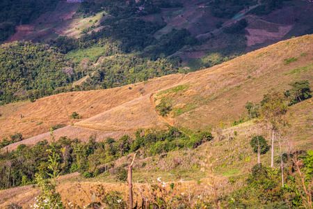 Mountain view at Chiangrai province, Thailand.