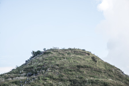 Mountain view of Doi Pha Tang at Chiangrai province, Thailand.の写真素材