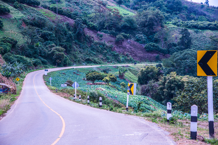 Road to Phu Chi Pa, Thailand.の写真素材