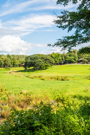 Landscape View of Mae Puem National Park, Thailandの写真素材