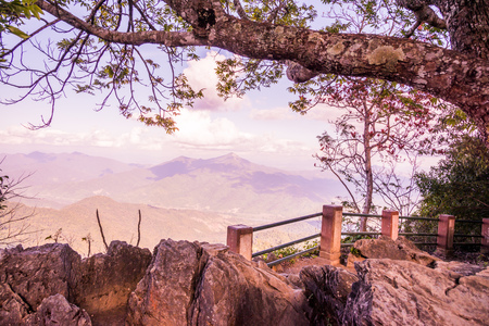 View point of Doi Pha Tang at Chiangrai province, Thailand.の写真素材