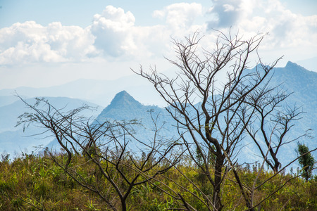 Mountain view of Phu Chi Fa at Chiangrai province, Thailand.の写真素材