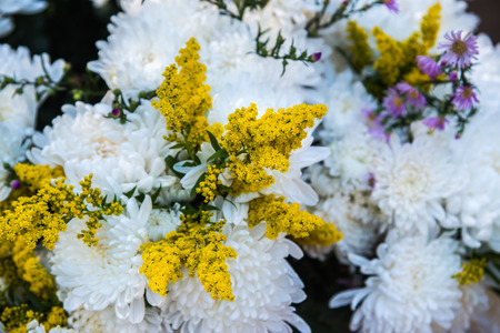 Closeup of fresh flowers, Thailand.の写真素材