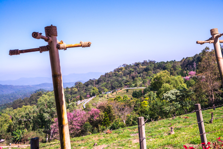 Park of Khun Wang Royal Project, Thailand.の写真素材