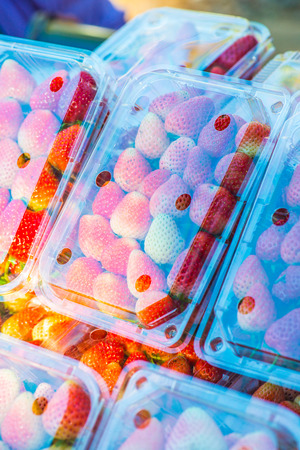 Fresh strawberries in plastic box, Thailand.の写真素材