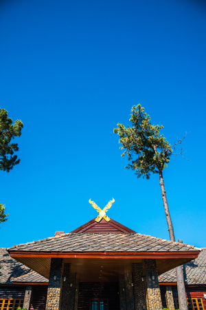Doi Pha Tang Palace at Doi Inthanon National Park, Thailand.のeditorial素材