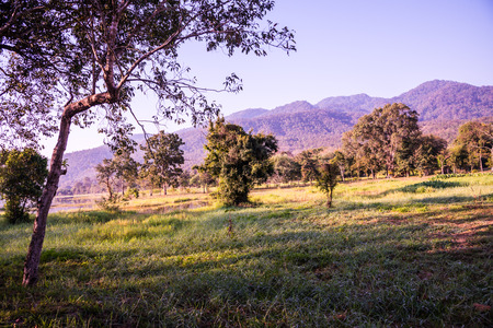 Landscape view of Huay Tueng Tao lake in Chiangmai province, Thailand.の写真素材