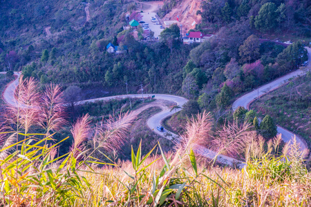 Mountain view of Doi Pha Tang at Chiangrai province, Thailand.の写真素材