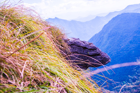 Mountain view of Phu Chi Fa at Chiangrai province, Thailand.