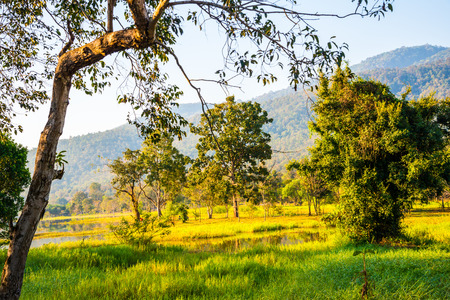 Landscape view of Huay Tueng Tao lake in Chiangmai province, Thailand.の写真素材
