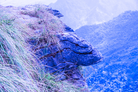 Mountain view of Phu Chi Fa at Chiangrai province, Thailand.の写真素材