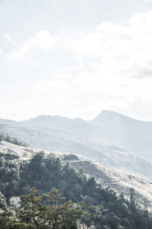 Mountain view at Chiangrai province, Thailand.の写真素材